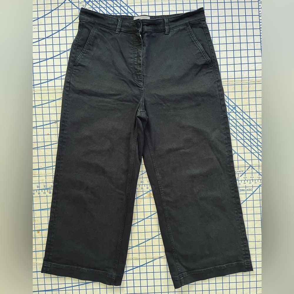 Everlane Cropped Wide Leg Pant Size 16
